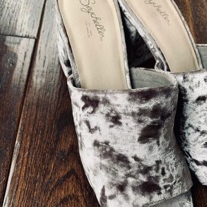 Seychelles Commute Velvet Mule sandal 🤩